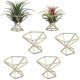 thumbnail image 1 of 6 Pcs Geometric Air Plant Holder Airplants Rack Metal Plants Stand, 1 of 5