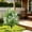 White, variant on QuanTara Artificial Fern Ground Stakes, Set of 2 Faux Greenery Plants for Outdoor Garden & Yard, Realistic Fake Bush Decor for Flower Beds & Pathways