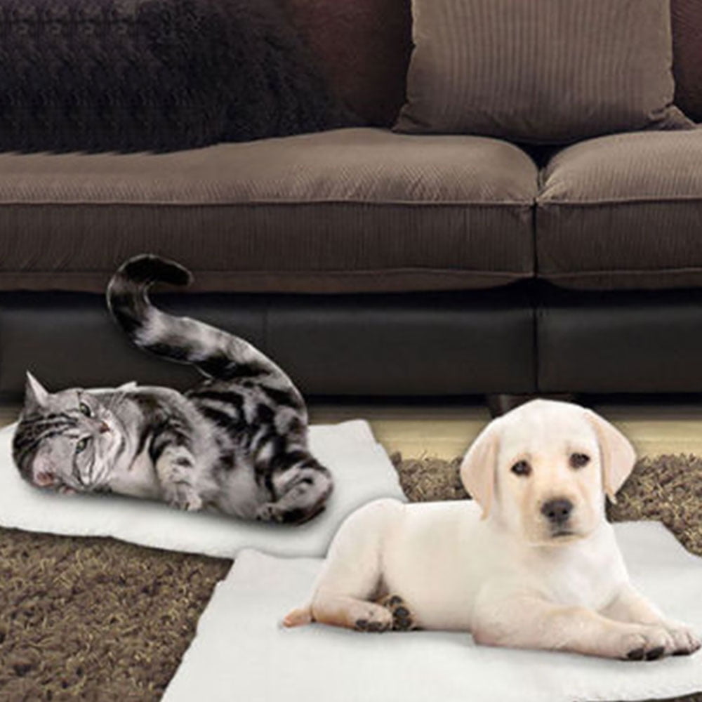 Premium Self Heating Blanket for Cats Cat Blanket and Dogs Innovative Environmentally Friendly Heated Cat Blanket