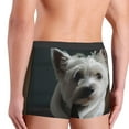 thumbnail image 5 of Kll Dog Wrapped In Towel 1 Men'S Cotton Boxer Briefs Underwear-X-Large, 5 of 9