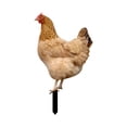thumbnail image 4 of Estacas Decorativas de pollo Acrílicas Strade Fareast Limited para decoración del patio Trasero (paquete de 3), 4 of 8