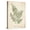 Canvas, variant on Art.com Vintage Ferns IX Art Print by Hugo Wild, 12" x 16"