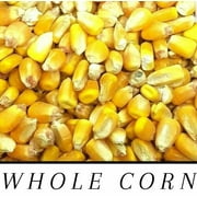 Whole Raw/Re-CLEANED Corn Animal Feed or Arts & Crafts Choose Size RESEALABLE