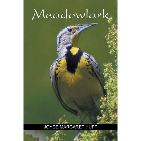 Meadowlark