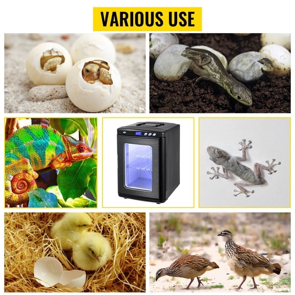 Egg Incubator and Hatcher 25L Black Reptile Egg Incubator 5-42 Celsius Scientific Hatcher Heating Bright LED Digital Display For Small Animals