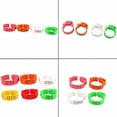 thumbnail image 5 of Paquete de 100 anillos ajustables verdes para patas de pollo para pájaros y aves de corral, ideales para atar e identificar., 5 of 5