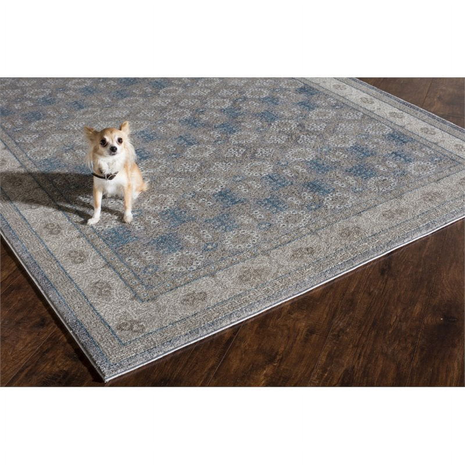 Rugs America Estelle 2'2" x 7'6" Runner