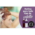 thumbnail image 4 of KIT BIOTINA JYE Shampoo y Acondicionador 1 litro c/u, 4 of 5