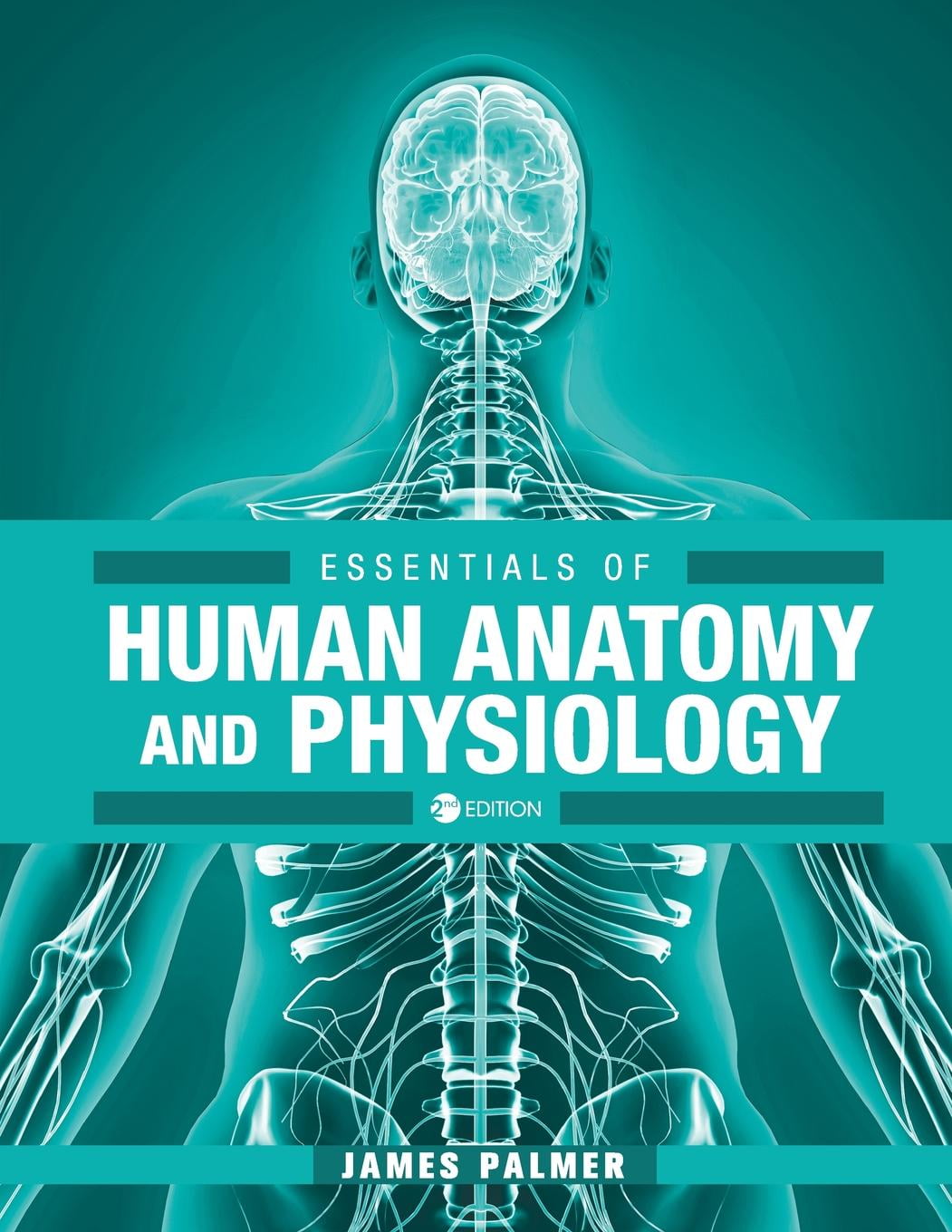 Does essential anatomy update lokicup
