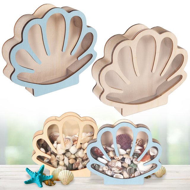 Wood Display Case With Acrylic Panel Shaped Box With Clear Window Sea Holder For Small Tooth Decor