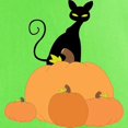thumbnail image 3 of CafePress - Cat And Pumpkins T Shirt - Light T-Shirt - CP, 3 of 4