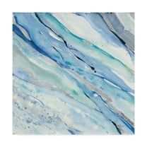 Trademark Fine Art 'Silver Spring I' Canvas Art by Albena Hristova