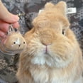 thumbnail image 2 of Funny Rabbits Shape Hair Storage Keepsakes Box Keychain Plastic Clear Pet Furs Collector Pendant Decors Pet Lover Gift, 2 of 8