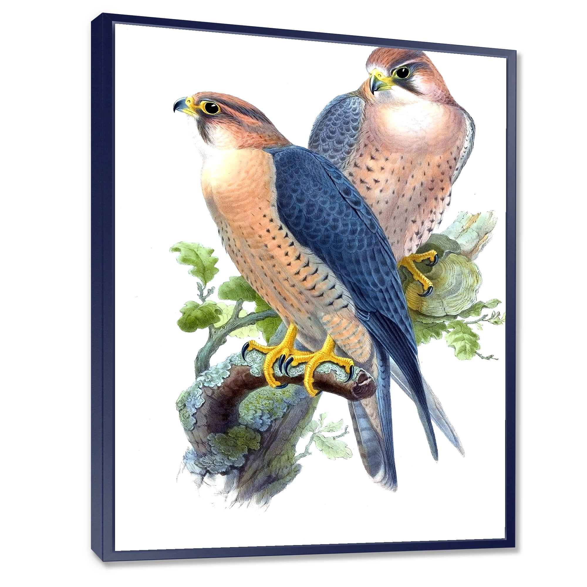 Ancient Birds II 24 in x 32 in Framed Painting Canvas Art Print, by Designart