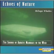 Beluga Whales