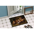 thumbnail image 2 of Fox Family Foxes by Daphne Baxter Doormat 24x36, 2 of 4