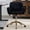Style B Black, variant on SolaceHue Faux Fur Home Office Desk Chair for Women Girl, Modern Accent Chair with Rolling Wheels, Upholstered Vanity Makeup Chairs Height Adjustable Armrest for Living Room Bedroom Office Grey