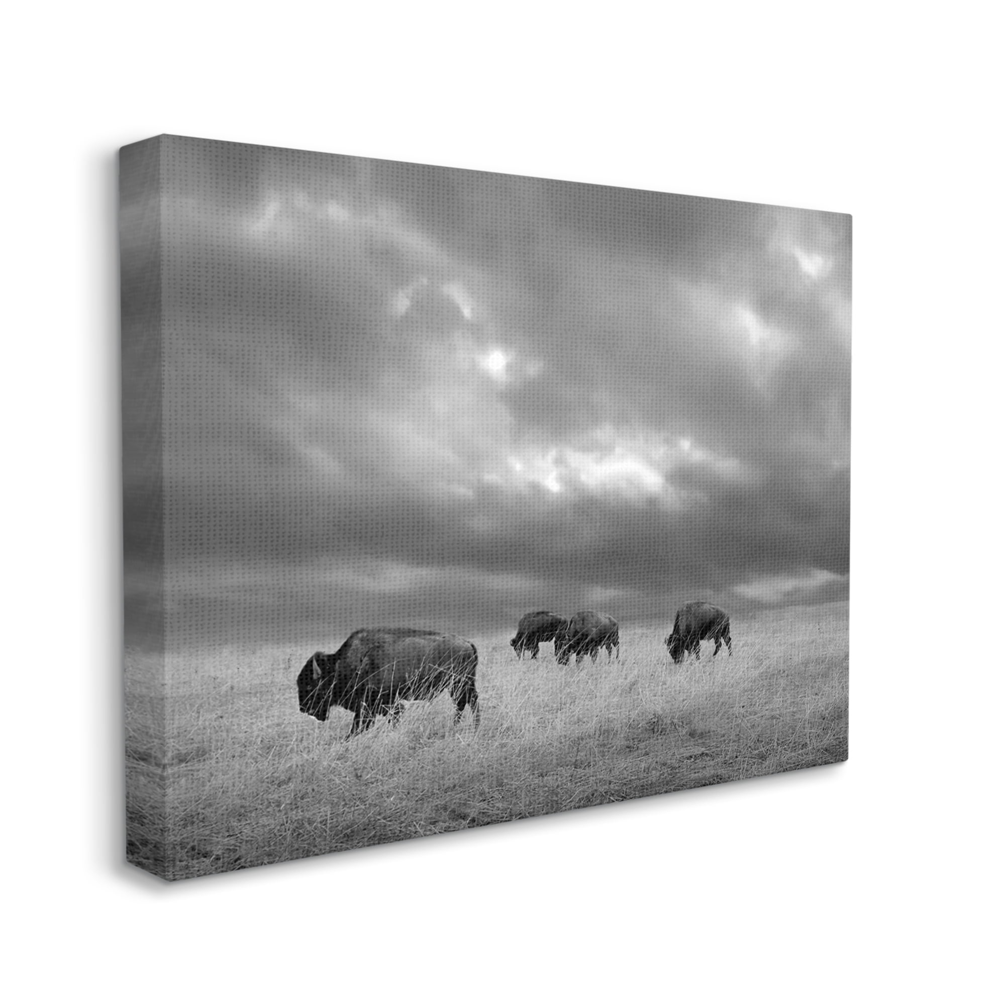 Stupell Industries Bison in Cloudy Field Landscape Photography Gallery Wrapped Canvas Art Print Wall Art, 40 x 30