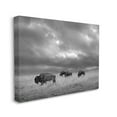 thumbnail image 4 of Stupell Industries Bison in Cloudy Field Landscape Photography Gallery Wrapped Canvas Art Print Wall Art, 20 x 16, 4 of 8