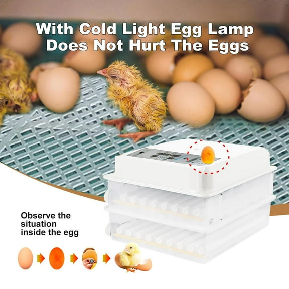 PWTOOL Egg Incubator with Humidity Control, Temperature Control, Automatic Egg Turning and Water Adding, Incubators for Hatching Eggs, Egg Candler for 120 Chickens