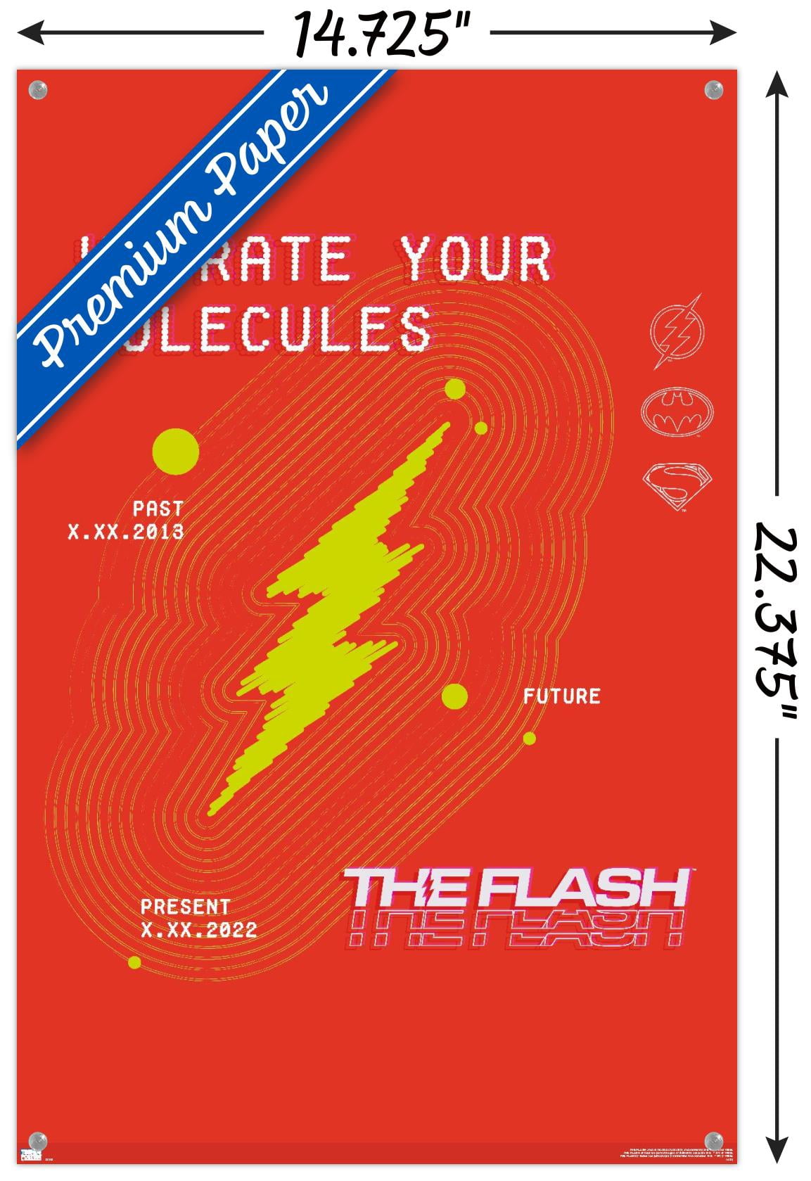 DC Comics Movie The Flash - Vibrate Your Molecules Wall Poster with Push Pins, 14.725" x 22.375"