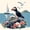 Cream Azure, variant on Castle Fairy Vivid Cliff Puffin Painting Full Size Bedding Sets 7 Pieces,Three Seabird Purple Flower Sea Wall Art Full Size Bed in a Bag,Green Blue,Navy Blue Reversible