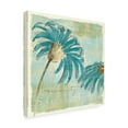 thumbnail image 2 of Trademark Fine Art 'Spa Daisies IV' Canvas Art by Chris Paschke, 2 of 3