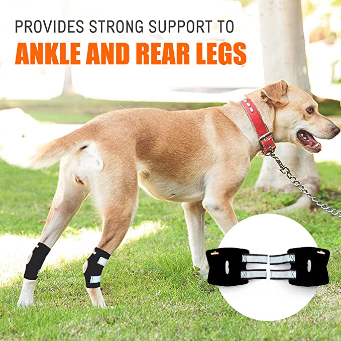 NeoAlly Dog Back Leg Braces Long Version Canine Hind Hock Wraps  with Safety 価格比較