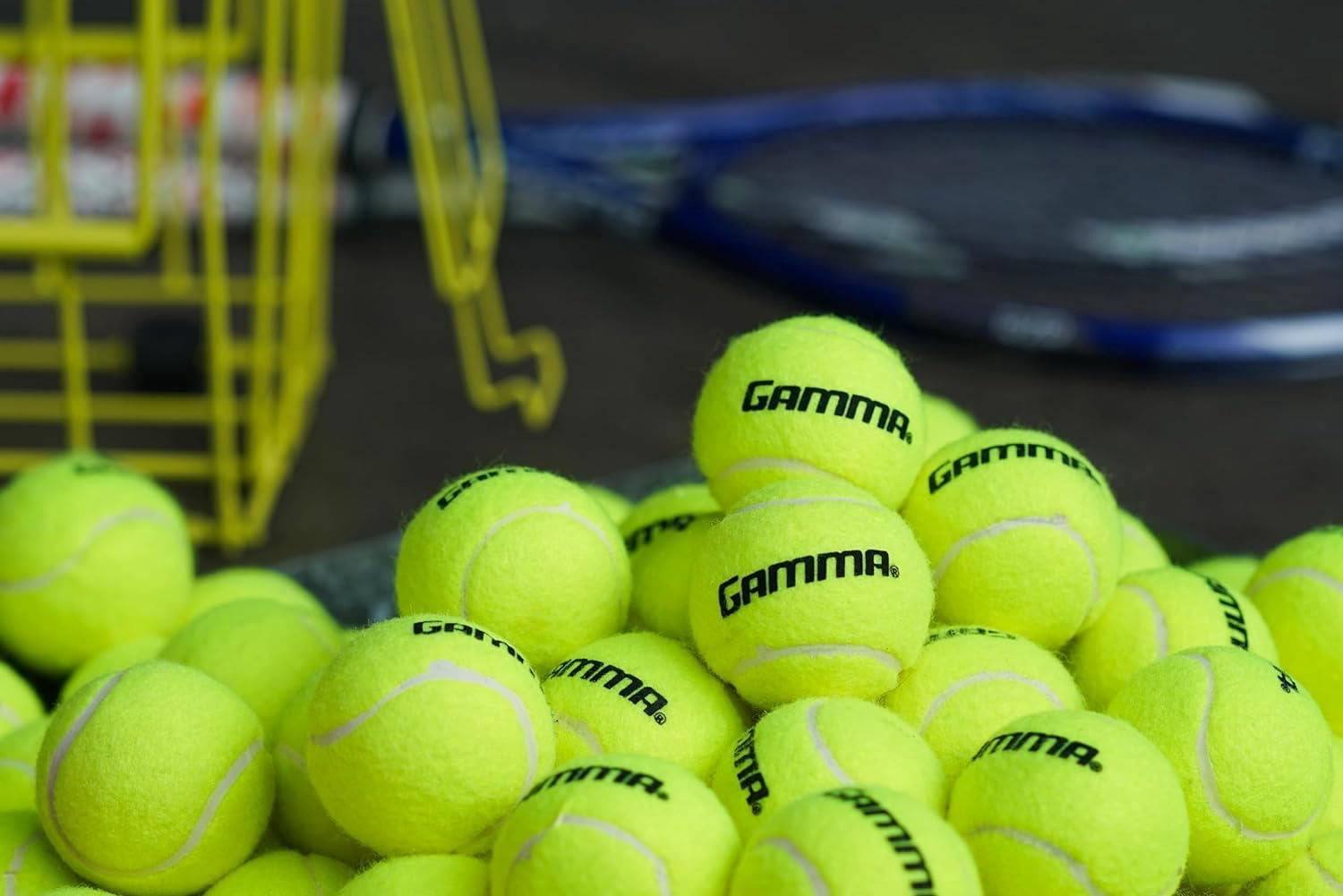 GAMMA Pressureless Tennis Balls for Practice and Lessons, 12 Count