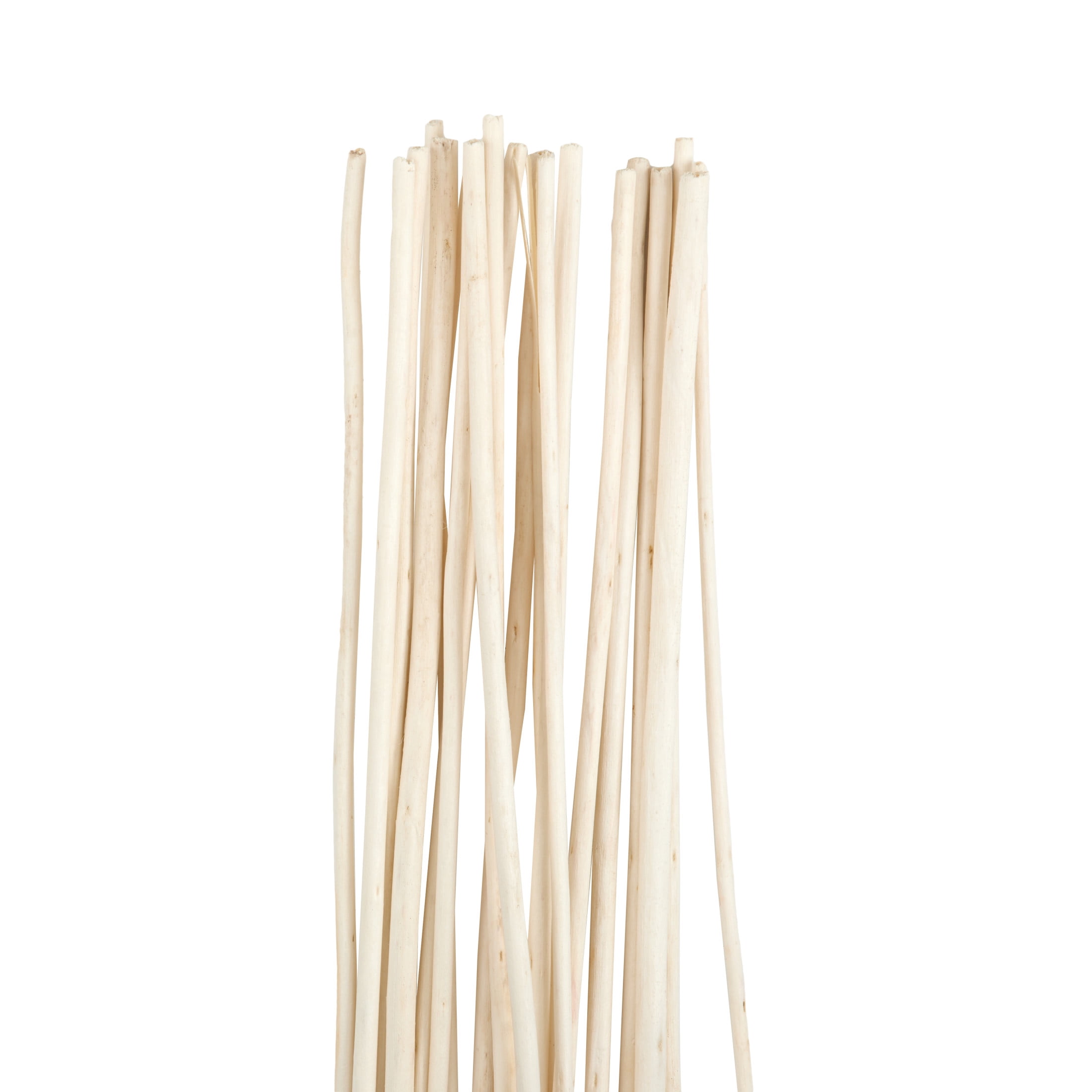60" Tall Sticks Jute Rope Natural Foliage Bouquet, by DecMode