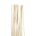thumbnail image 4 of 60" Tall Sticks Jute Rope Natural Foliage Bouquet, by DecMode, 4 of 9