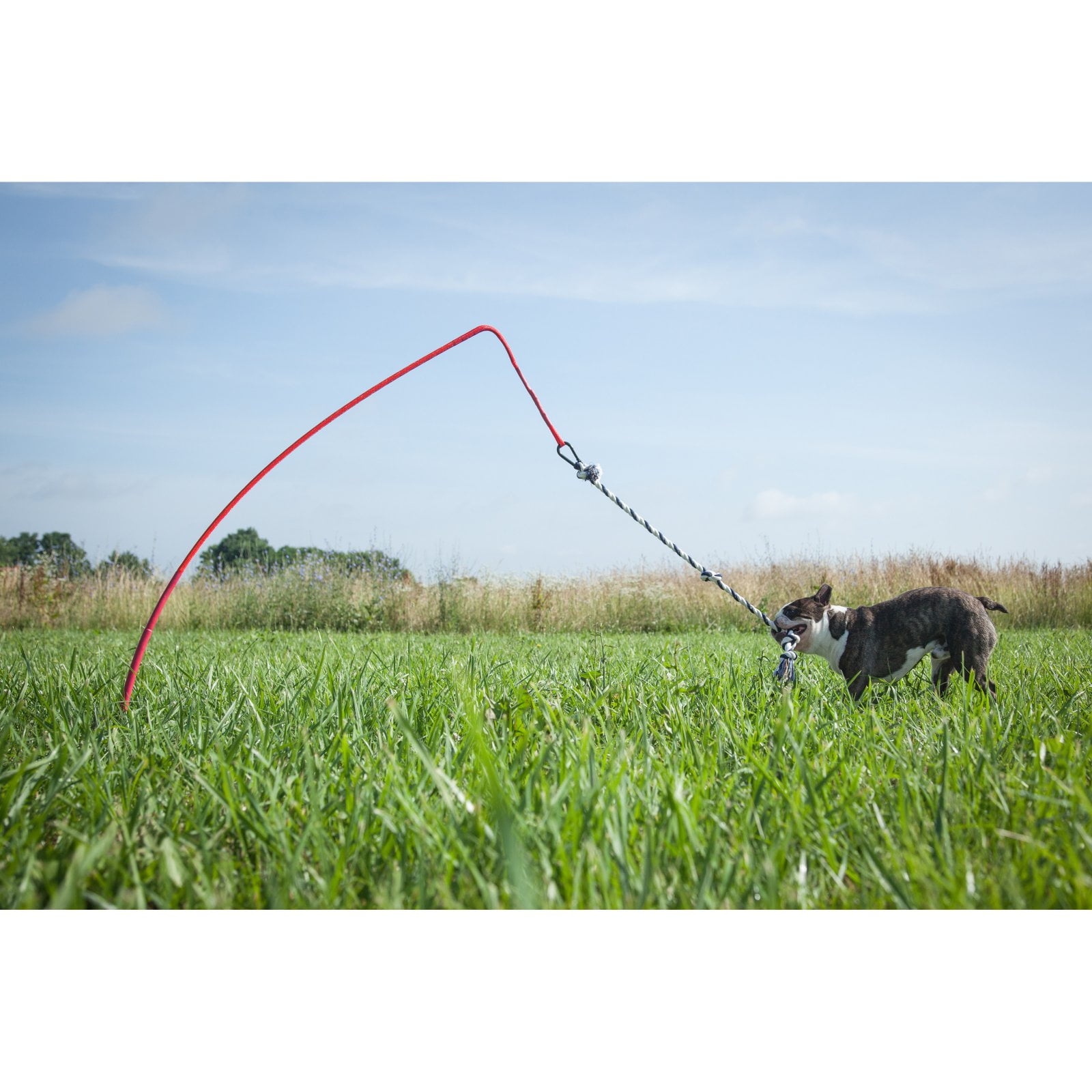 Tether Tug V2 Outdoor Dog Interactive Toy Tugging Pull Exercise 5