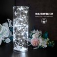thumbnail image 2 of Hirnalda de luces Bexdir, 12 unidades, 2,1 m, 20 LED, resistentes al agua, 2 of 8