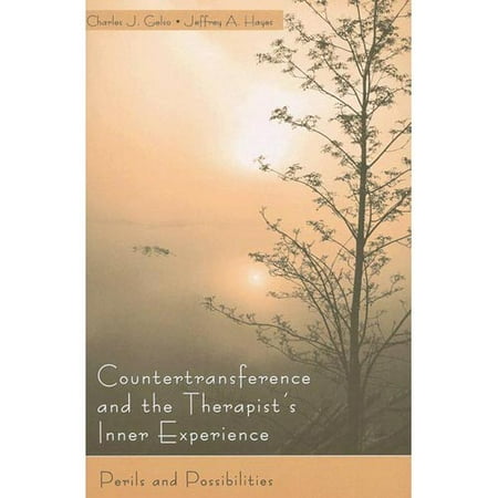 Essay on transference and countertransference