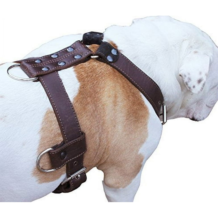 Genuine leather top dog harness