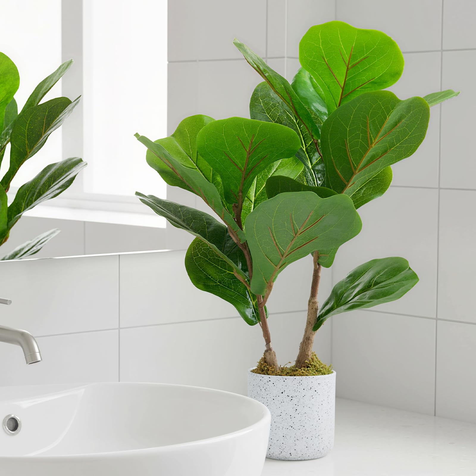 QinaQin 15.7" Faux Fiddle Leaf Fig Tree Indoor, 2 Pack Artificial Potted Ficus Trees with White Pots and Cement Moss Base, Small Fake Potted Ficus Plants with Realistic Leaves for Home Office Decor