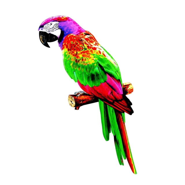 Colorful Artificial Parrots Figurines Sculpture Animal Photo Props Hanging Miniature DIY Model For Yard Decoration style B