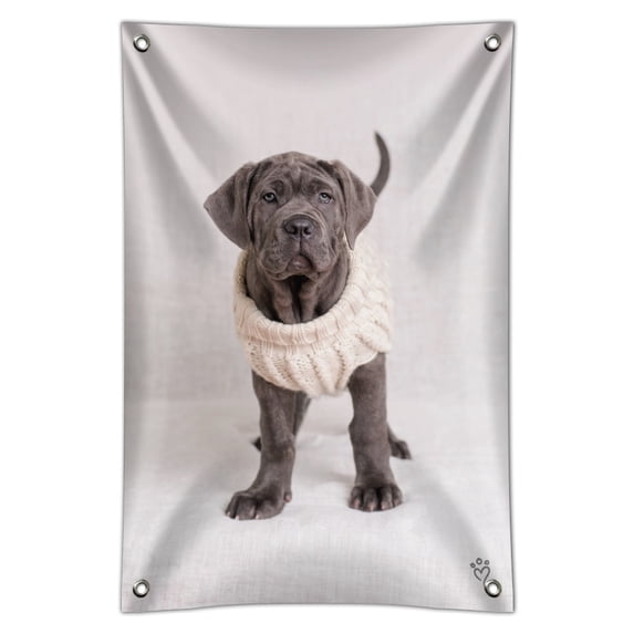 Neapolitan Mastiff Dog Nifty Sweater Home Business Office Sign