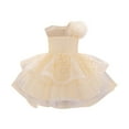 thumbnail image 2 of Toddler Girls Formal Prom Dresses 6M-3Y Elegant Sleeveless Crewneck Layered-Tulle Floral High Waisted Solid A-Line Birthday Party Dress, 2 of 8