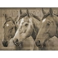 thumbnail image 2 of Phillip, Jamie 24x19 White Modern Wood Framed Museum Art Print Titled - Companion, 2 of 4