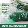 thumbnail image 5 of KESMEDIK Tea Tree Oil Shampoo MaxTherapy, Clarifying Deep Clean for Buildup, Dandruff & Cools Refreshes Itchy Scalp, Sulfate-Free for Oily Hair, Women & Men, 16 fl oz, 5 of 7