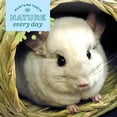 thumbnail image 3 of Escondite comestible para mascotas Oxbow Timothy Hay bungalow grande, 3 of 7