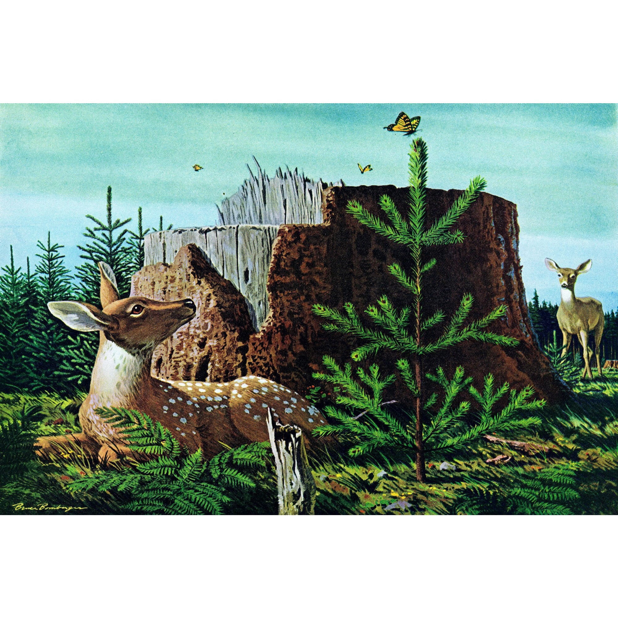 "Butterfly and Deer" Painting Print on Wrapped Canvas