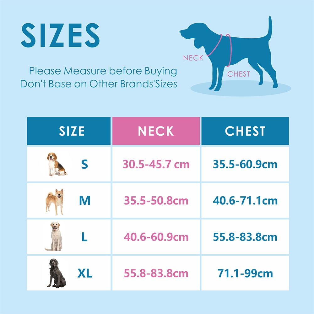 PHOEPET No Pull Dog Harness, Unique Colors Reflective Adjustable Dog Vest, with Soft Training Handle Metal Clips for Small Medium Large Dogs (Blue Base & Green Straps)