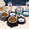 thumbnail image 4 of Stainless Steel Pet Bowl Feeder with Removable Water Dispenser for Cats and Dogs Slanted Design Two in One Partition Set Durable Indoor Use, 4 of 5