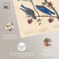 thumbnail image 4 of Art Remedy Botanical Prints Canvas, 16" x 24", Gallery Wrapped, Arctic Blue Bird, 4 of 7