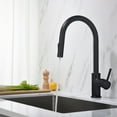 thumbnail image 2 of Blossom Single Handle Pull Down Kitchen Faucet, Matte Black – Solid Brass Body, Dual-Function Sprayer, Model F01-206, 2 of 5