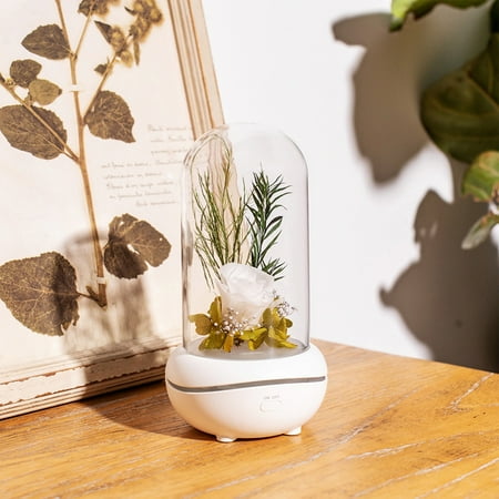 

Diffuser Home Essentials Everlasting Flower Aromatherapy Colorful Light LED Night Light Portable Aromatherapy Lamp Rose Aromatherapy Oil Diffuser Can Be Used As A Gift Rose Aroma Dif - Spring Savings