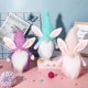 thumbnail image 5 of JHIJHOO Easter Bunny Gnomes Plush - Easter Gnome Faceless Elf Doll Holiday Gnomes Handmade Scandinavian Tomte Home Decor for Cute Easter Rabbit Gifts Pink*3, 5 of 5