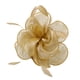 thumbnail image 4 of Venda de la mujer Hugo Hatinator de Diadema Dorado, 4 of 10